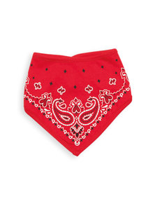 BABERO BANDANA CON ESTAMPA Y BROCHE